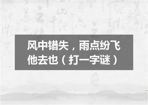 风中错失，雨点纷飞他去也（打一字谜）