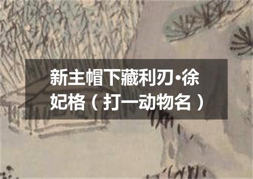 新主帽下藏利刃·徐妃格（打一动物名）
