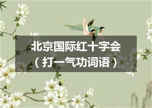 北京国际红十字会（打一气功词语）