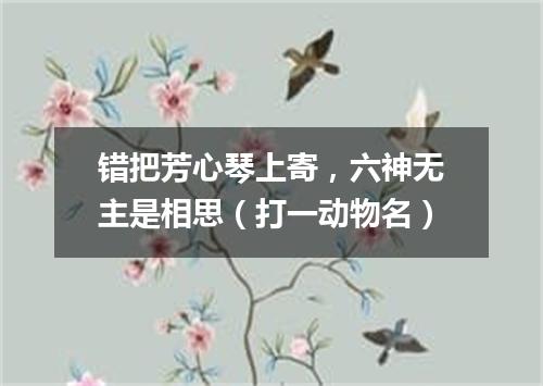 错把芳心琴上寄，六神无主是相思（打一动物名）