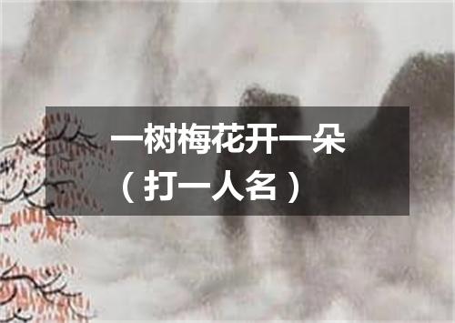 一树梅花开一朵（打一人名）