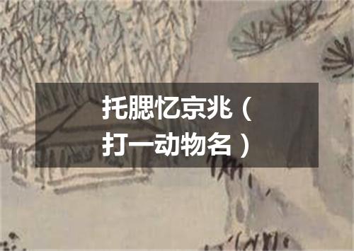 托腮忆京兆（打一动物名）