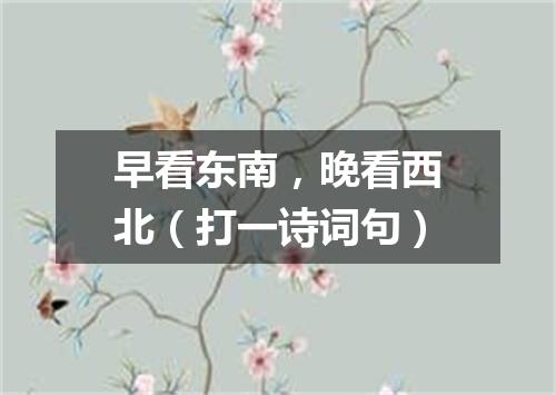 早看东南，晚看西北（打一诗词句）