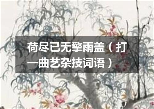 荷尽已无擎雨盖（打一曲艺杂技词语）