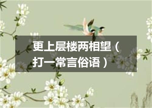 更上层楼两相望（打一常言俗语）