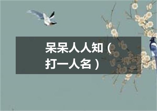 呆呆人人知（打一人名）