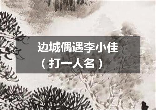 边城偶遇李小佳（打一人名）