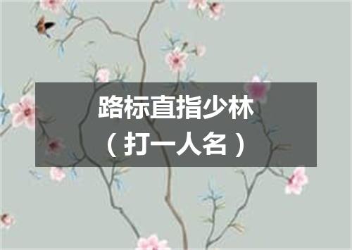 路标直指少林（打一人名）