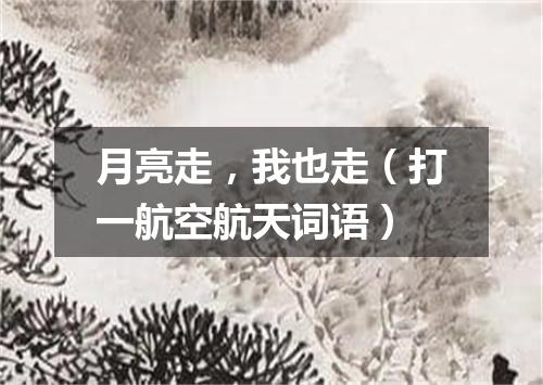 月亮走，我也走（打一航空航天词语）