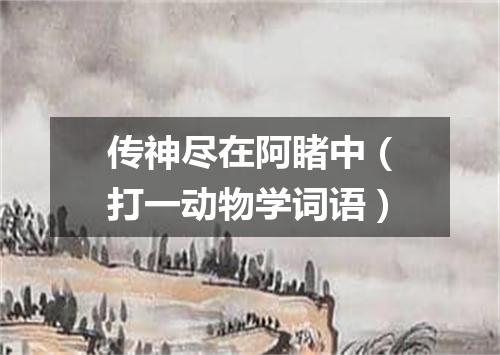 传神尽在阿睹中（打一动物学词语）