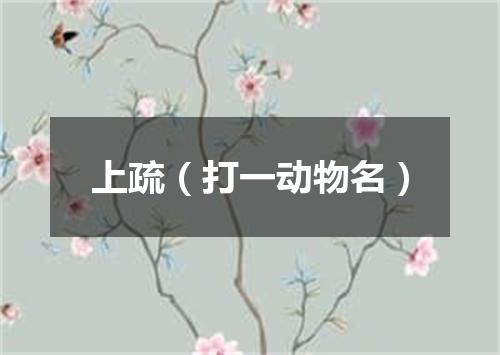 上疏（打一动物名）