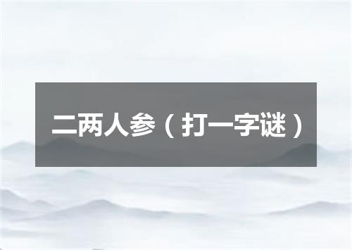 二两人参（打一字谜）