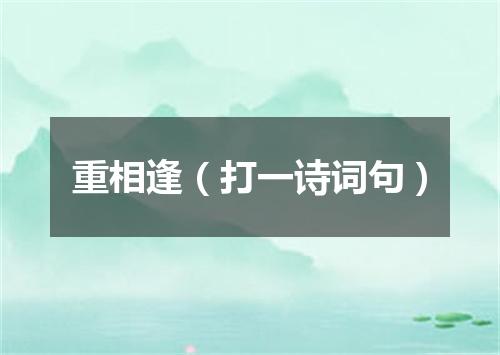 重相逢（打一诗词句）