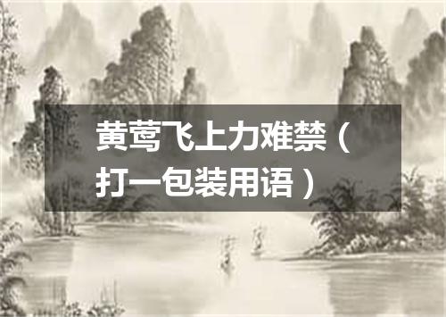 黄莺飞上力难禁（打一包装用语）