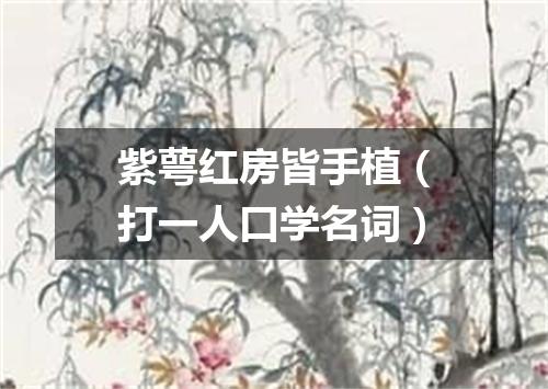 紫萼红房皆手植（打一人口学名词）