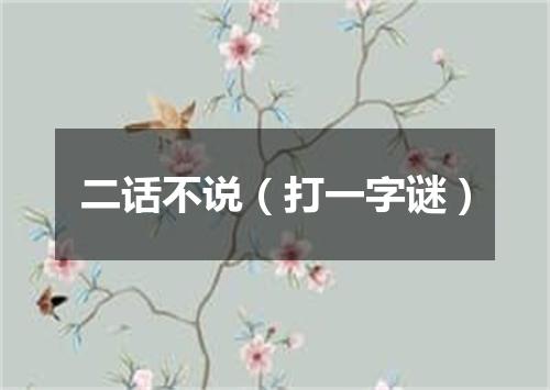 二话不说（打一字谜）