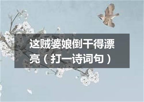 这贼婆娘倒干得漂亮（打一诗词句）