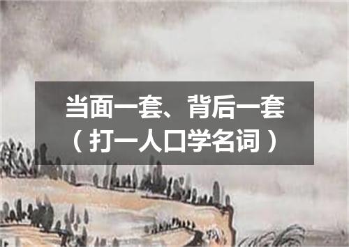 当面一套、背后一套（打一人口学名词）