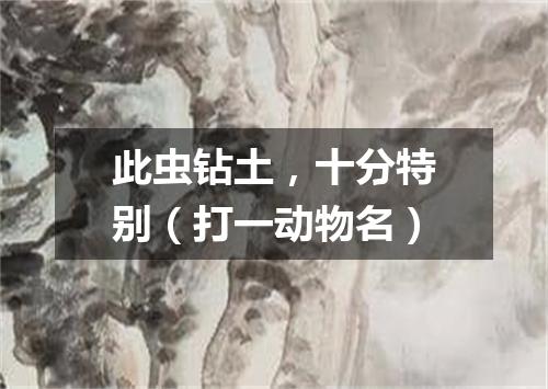 此虫钻土，十分特别（打一动物名）