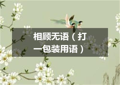 相顾无语（打一包装用语）