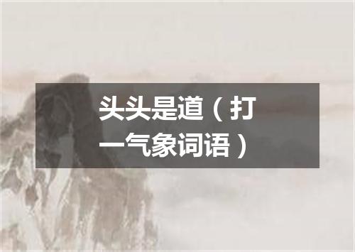头头是道（打一气象词语）