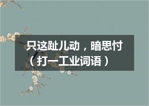 只这趾儿动，暗思忖（打一工业词语）