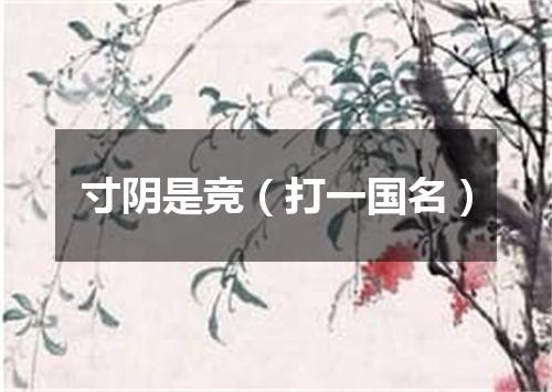 寸阴是竞（打一国名）