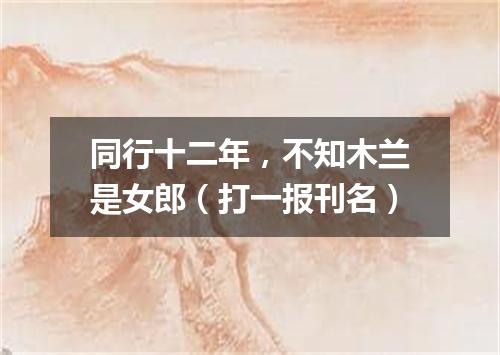 同行十二年，不知木兰是女郎（打一报刊名）