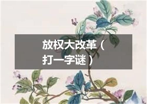放权大改革（打一字谜）