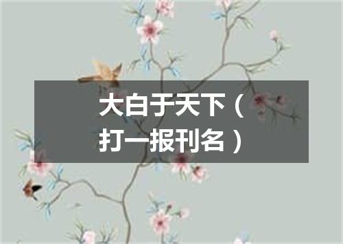 大白于天下（打一报刊名）