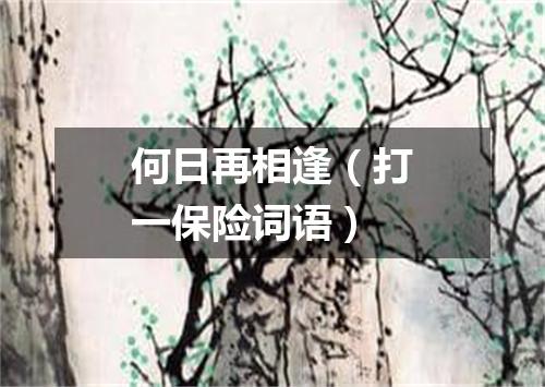 何日再相逢（打一保险词语）