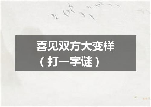 喜见双方大变样（打一字谜）