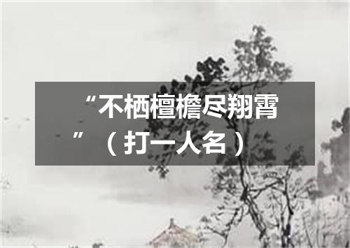 “不栖檀檐尽翔霄”（打一人名）