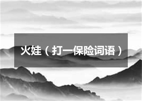 火娃（打一保险词语）