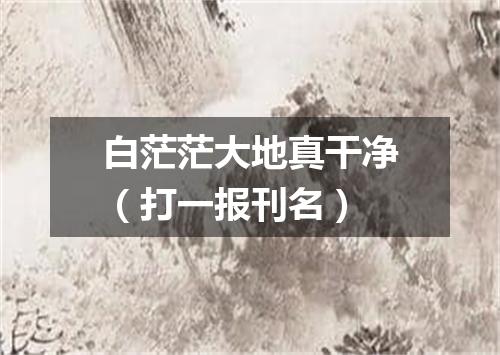白茫茫大地真干净（打一报刊名）