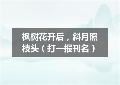 枫树花开后，斜月照枝头（打一报刊名）
