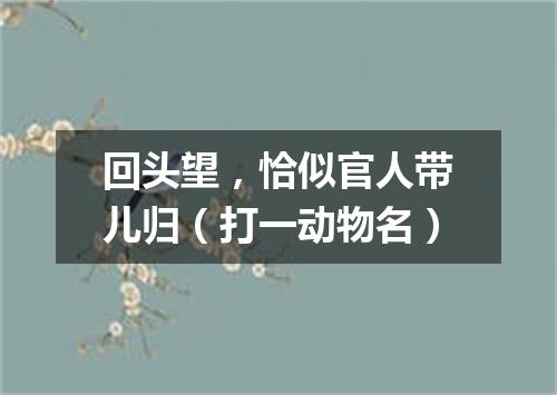回头望，恰似官人带儿归（打一动物名）