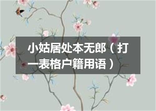 小姑居处本无郎（打一表格户籍用语）