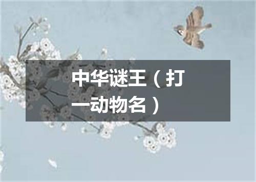中华谜王（打一动物名）