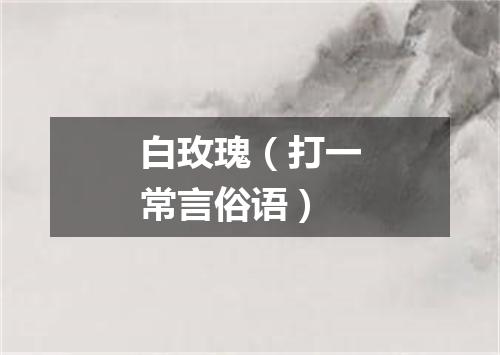 白玫瑰（打一常言俗语）