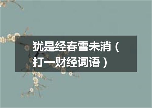 犹是经春雪未消（打一财经词语）