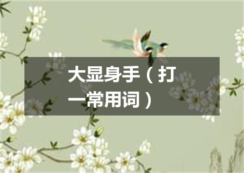 大显身手（打一常用词）