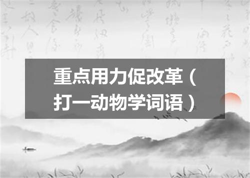 重点用力促改革（打一动物学词语）