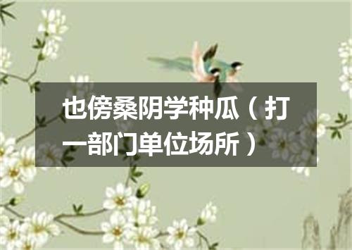 也傍桑阴学种瓜（打一部门单位场所）
