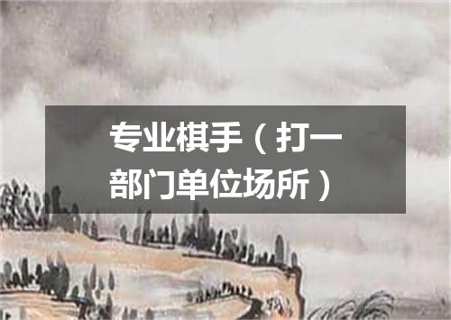 专业棋手（打一部门单位场所）