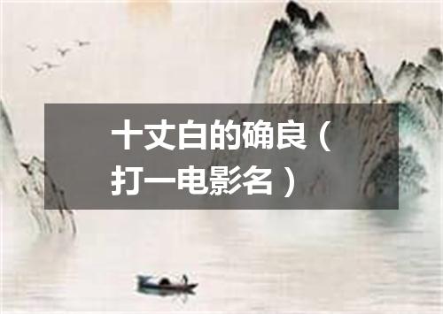 十丈白的确良（打一电影名）