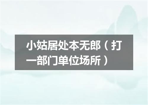 小姑居处本无郎（打一部门单位场所）