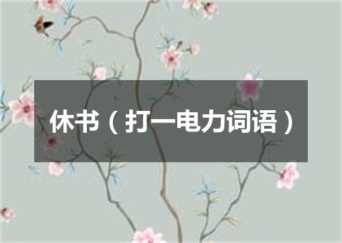 休书（打一电力词语）