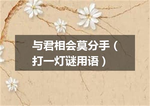 与君相会莫分手（打一灯谜用语）