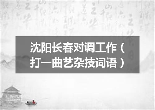 沈阳长春对调工作（打一曲艺杂技词语）